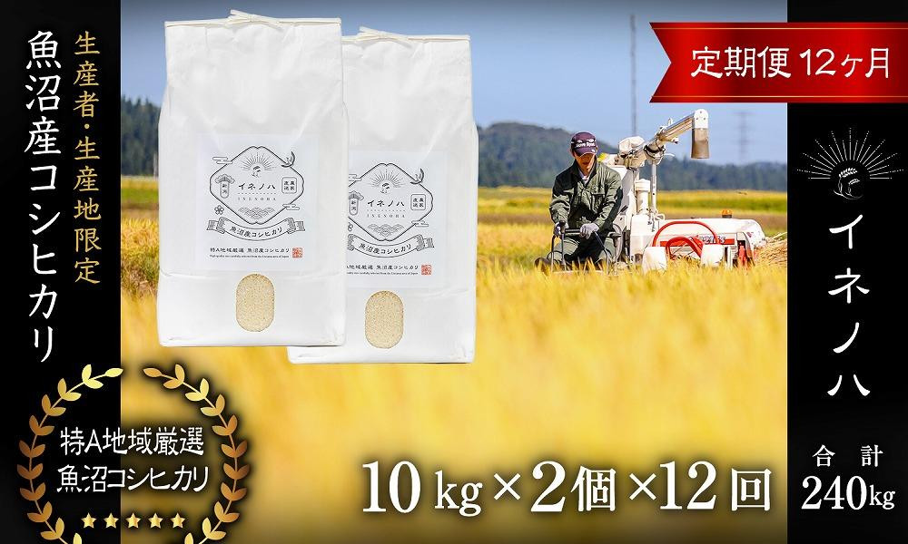 ＜定期便・全12回＞【令和7年産】魚沼産コシヒカリ「イネノハ 」精米(10kg×2)×12回 お米 白米 ご飯 産地直送 ミネラル 栄養分 こだわり 人気 新鮮 
