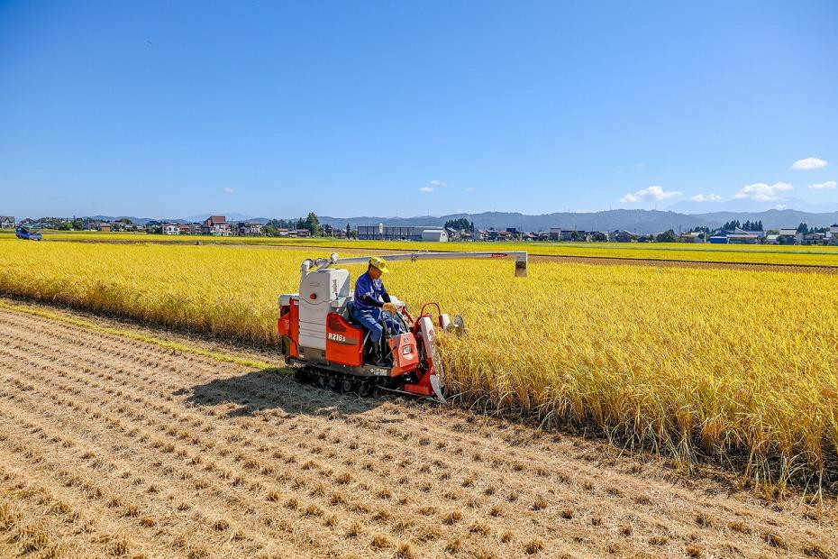 ＜定期便・全6回＞【令和7年産】魚沼産コシヒカリ「イネノハ 」精米(3kg×1)×6回 お米 白米 ご飯 産地直送 ミネラル 栄養分 こだわり 人気 新鮮 