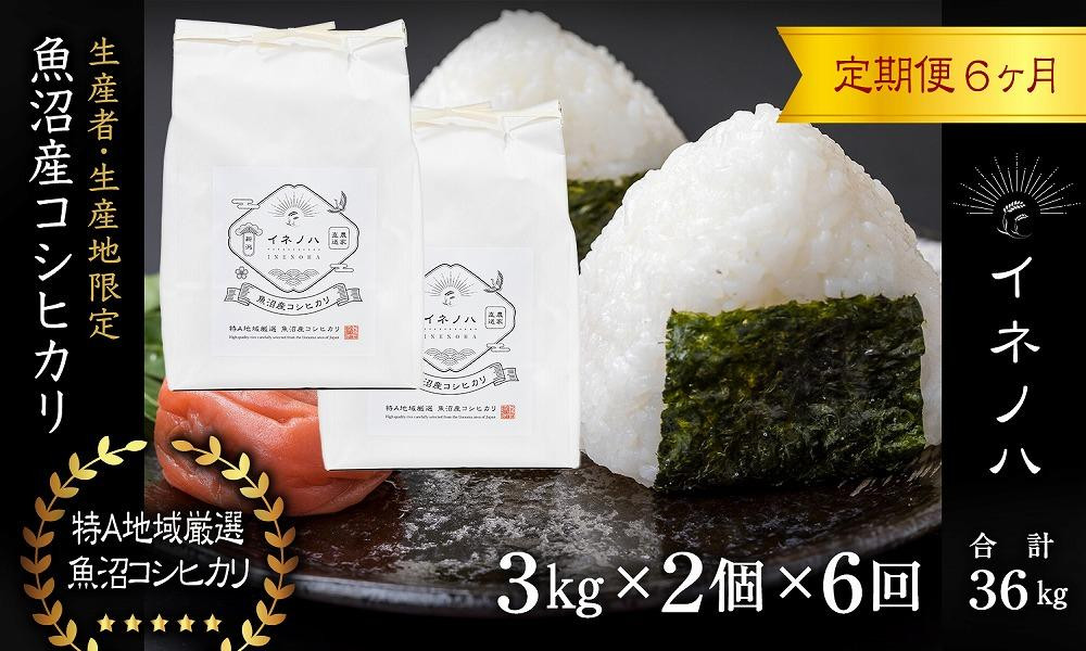 ＜定期便・全6回＞【令和7年産】魚沼産コシヒカリ「イネノハ 」精米(3kg×2)×6回 お米 白米 ご飯 産地直送 ミネラル 栄養分 こだわり 人気 新鮮 