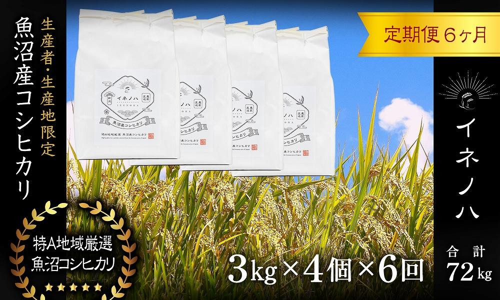 ＜定期便・全6回＞【令和7年産】魚沼産コシヒカリ「イネノハ 」精米(3kg×4)×6回 お米 白米 ご飯 産地直送 ミネラル 栄養分 こだわり 人気 新鮮 