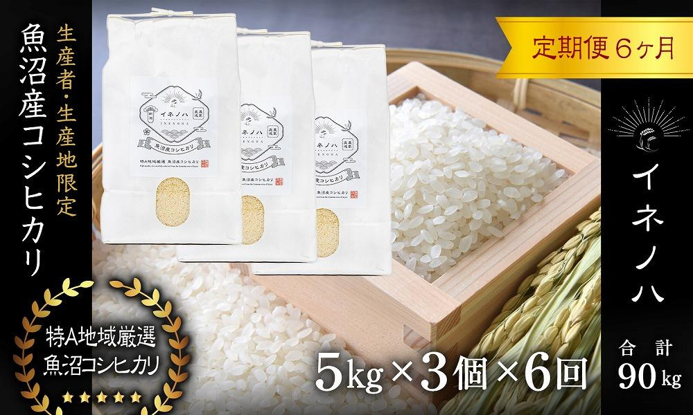 ＜定期便・全6回＞【令和7年産】魚沼産コシヒカリ「イネノハ 」精米(5kg×3)×6回 お米 白米 ご飯 産地直送 ミネラル 栄養分 こだわり 人気 新鮮 