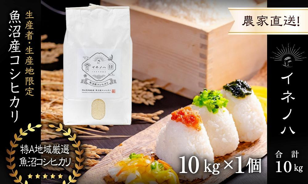 【令和7年産】 魚沼産コシヒカリ 「イネノハ 」精米(10kg×1) お米 白米 ご飯 産地直送 ミネラル 栄養分 こだわり 人気 新鮮 