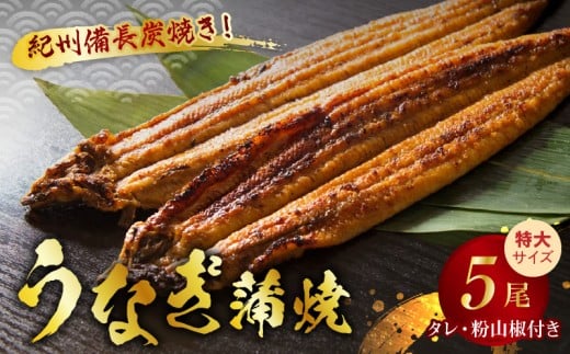 【和歌山県有田郡湯浅町】V7303_炭焼き うなぎ 蒲焼 特大サイズ 5尾 セット(約200g前後×5尾)タレ 粉山椒 付き 国産 鰻 冷凍 ウナギ 1尾ずつ真空パック 土用の丑の日 紀伊国屋文左衛門本舗