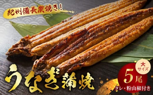 【和歌山県有田郡湯浅町】V7304_炭焼き うなぎ 蒲焼 大サイズ 5尾 セット(約150〜199g×5尾)タレ・粉山椒付き 国産鰻 冷凍ウナギ 1尾ずつ真空パック 土用の丑の日 紀伊国屋文左衛門本舗