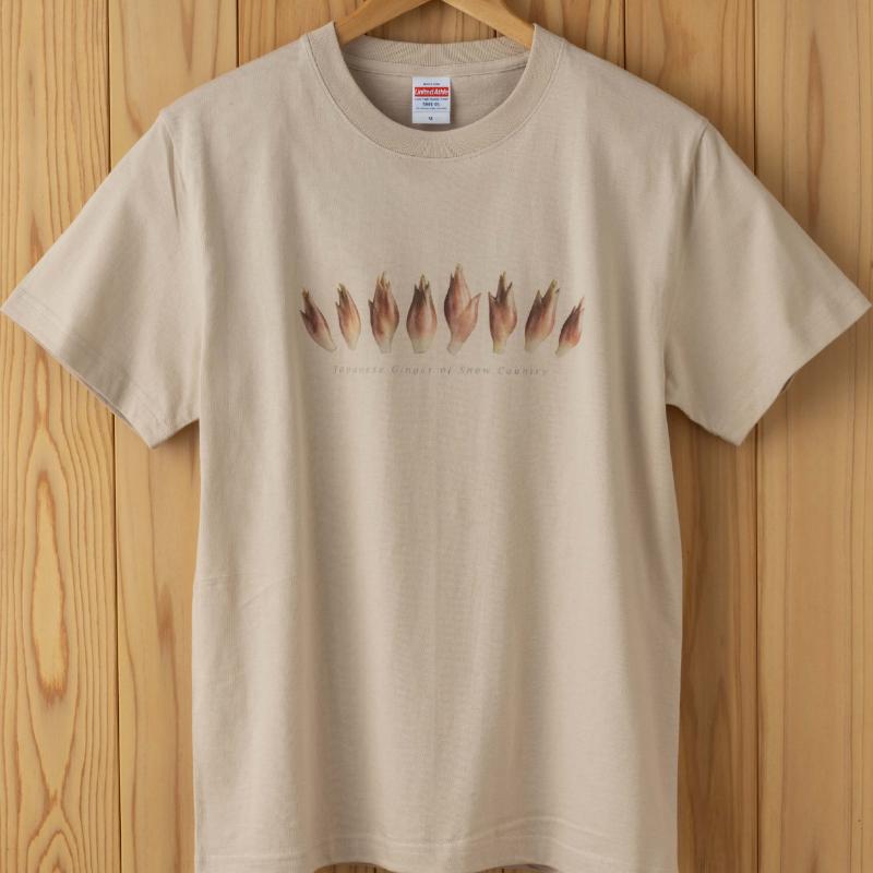 yV\szEŗB!R!!y݂傤TVcEThx[Wz  t@bV Y fB[X m V