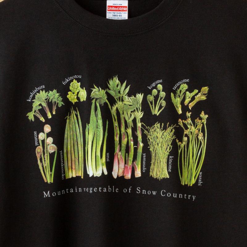 世界で唯一!着る山菜!!【山菜図鑑Tシャツ・黒】綿100% 半袖 ファッション メンズ レディース 洋服 新潟 