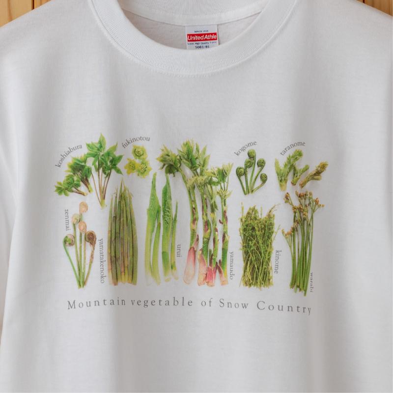 ふるさと納税 服 新潟県 十日町市 0332世界で唯一 着る山菜 みょうがTシャツ・ダスティピンク Mサイズ Mサイズ sd2_f700c3e392bd8a10c67773bd18