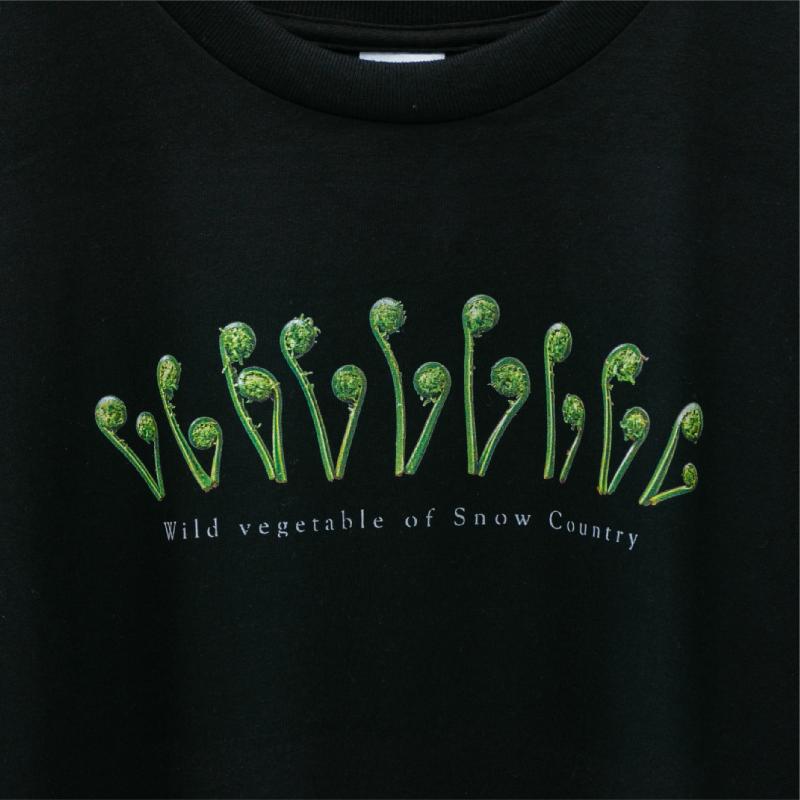 世界で唯一!着る山菜!!【こごめTシャツ・黒】綿100% 半袖 ファッション メンズ レディース 洋服 新潟 