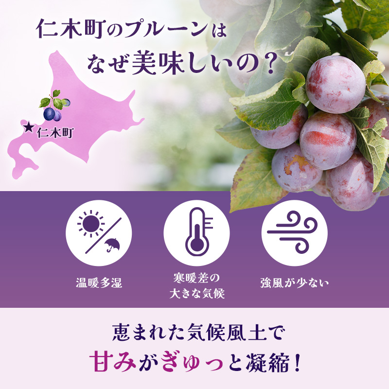 [先行受付]【9月後半～10月発送】北海道 仁木町産 おすすめ プルーン 800g（400g×2パック） 果物類 果物 くだもの フルーツ 果物詰合せ [和田農園]
