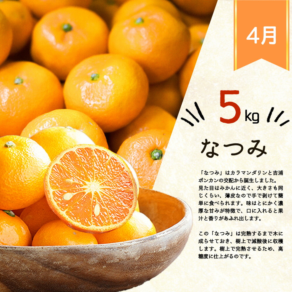 G60-T31_【定期便 全4回】紀州和歌山産旬の柑橘セット（みかん・ポンカン・清見・なつみ）