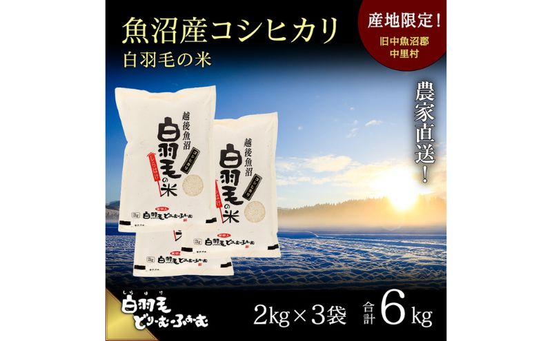 【通年受付】≪令和6年産≫ 農家直送！魚沼産コシヒカリ「白羽毛の米」精米 (2kg×3袋) 6kg お米 白米 ご飯 