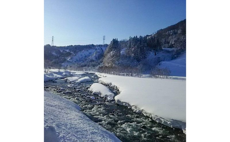 【通年受付】≪令和6年産≫ 農家直送！魚沼産コシヒカリ「白羽毛の米」精米 (2kg×3袋) 6kg お米 白米 ご飯 