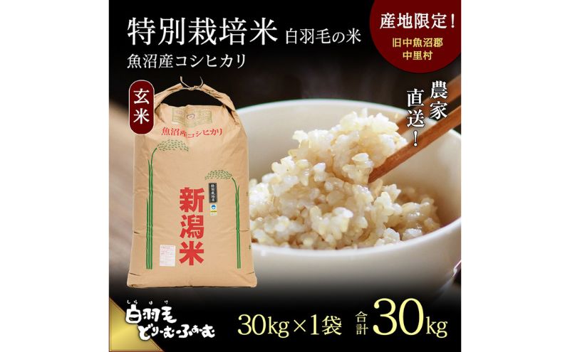 魚沼産コシヒカリ 10kg 令和6年度玄米 農家直送