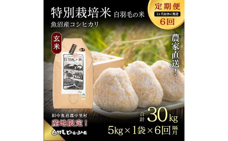 令和7年産 南魚沼産こしひかり 30kg 特別栽培米 魚沼産 減農薬 精米