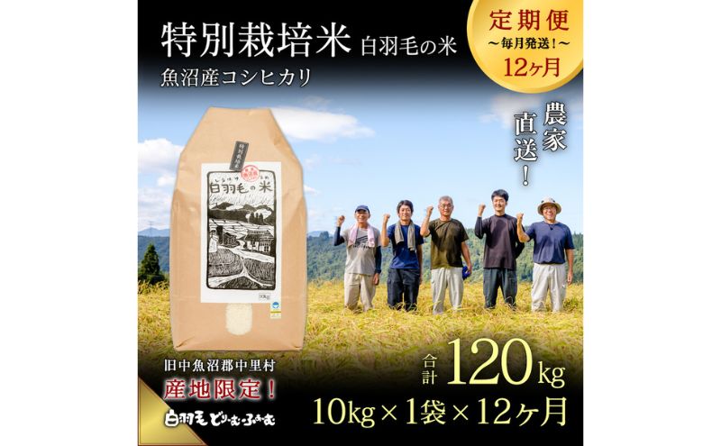 ふるさと納税 服 新潟県 十日町市 0295「旅する縄文」パーカー 十日町土器01 サンドベージュ Sサイズ Sサイズ 0295「旅する縄文」パーカー 十日町土器01 サンドベージュ S