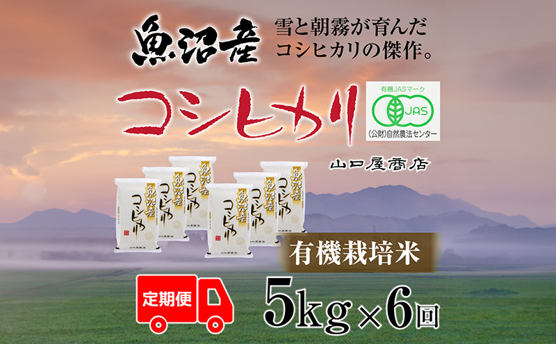 yV\sz S6 L@͔| YRVqJ 5kg  R