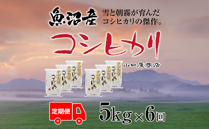 yV\sz S6 YRVqJ 5kg   R