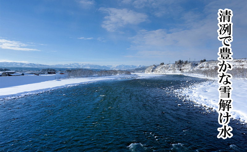 定期便 全6回 魚沼産コシヒカリ 5kg お米 米 コメ 