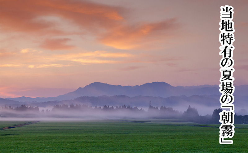 定期便 全6回 魚沼産コシヒカリ 5kg お米 米 コメ 