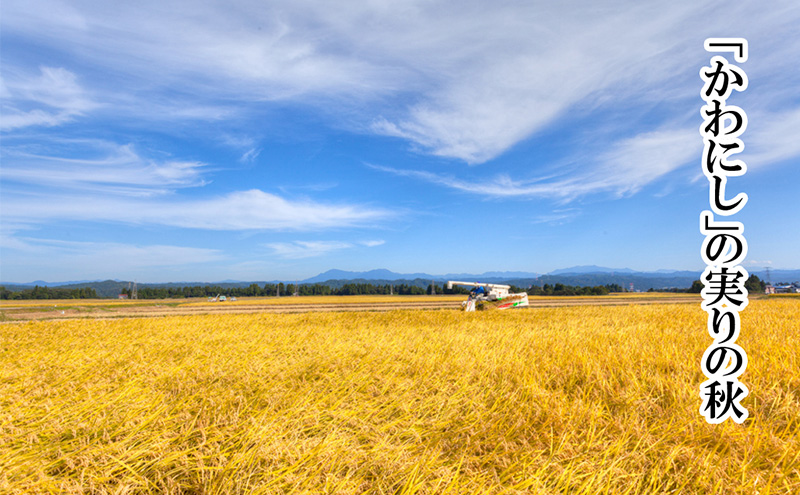 「厳選☆十日町育ち」魚沼産コシヒカリ 2kg×2袋 お米 米 コメ 