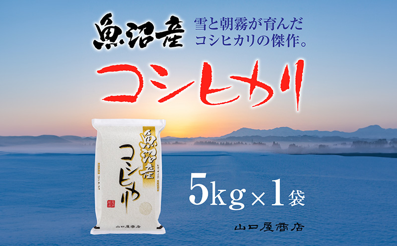 yV\szyI\炿zYRVqJ 5kg   R