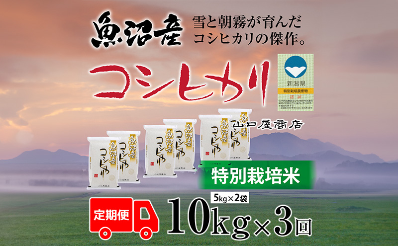 定期便 全3回 特別栽培米 魚沼産コシヒカリ 5kg×2袋 お米 コメ 