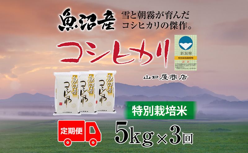 yV\sz S3 ʍ͔| YRVqJ 5kg  R