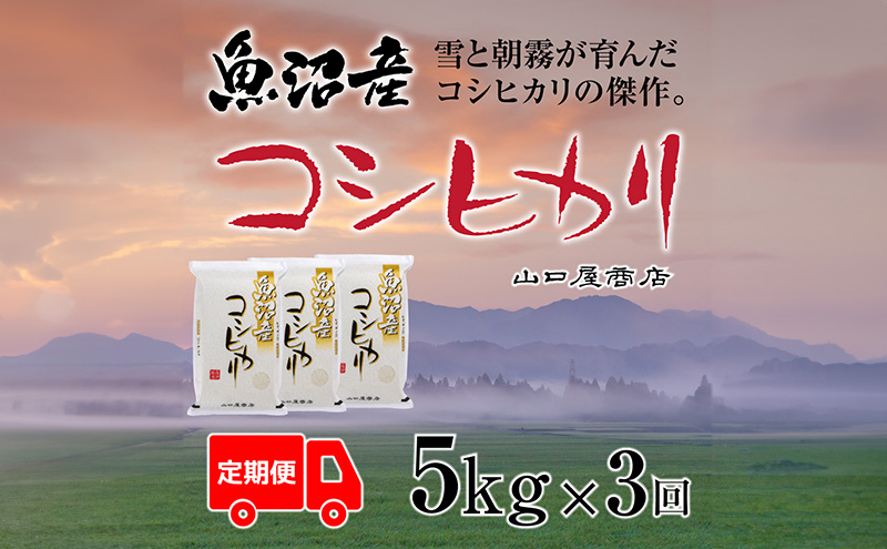 yV\sz S3 YRVqJ 5kg   R