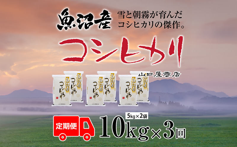 定期便 全3回 魚沼産コシヒカリ 5kg×2袋 お米 米 コメ 