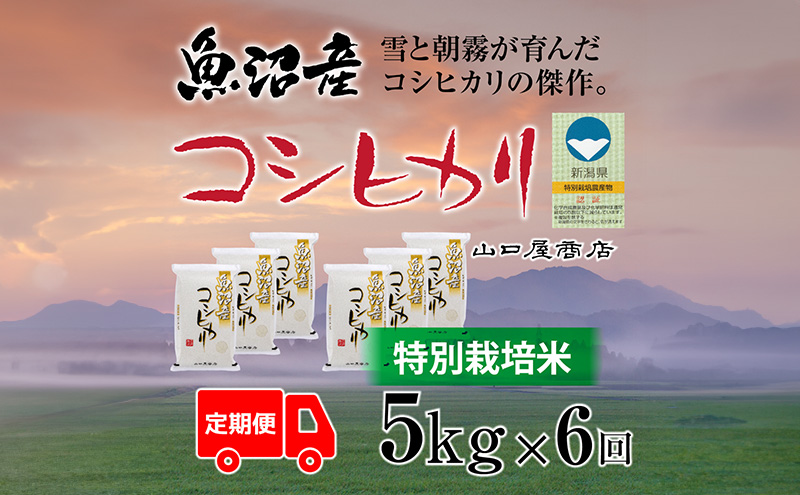 yV\sz S6 ʍ͔| YRVqJ 5kg  R