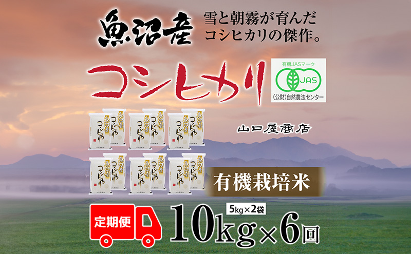 定期便 全6回 有機栽培米 魚沼産コシヒカリ 5kg×2袋 お米 コメ 