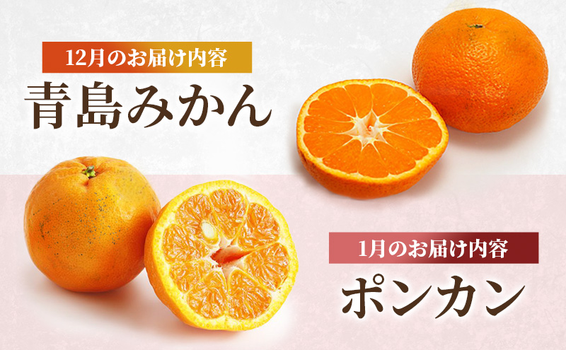 熊本県錦町のふるさと納税 定期便 2回 先行予約 【 桃 白桃 7月頃 梨 9月頃 】白鳳 特製桃源郷錦 約1kg、清流錦梨 約5kg もも モモ なし フルーツ 果物 デザート お楽しみ 2025年発送 配送不可:離島