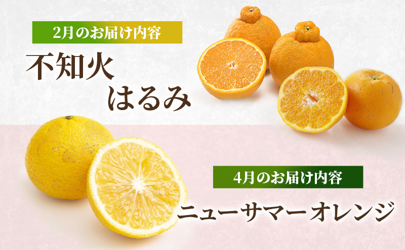 熊本県錦町のふるさと納税 定期便 2回 先行予約 【 桃 白桃 7月頃 梨 9月頃 】白鳳 特製桃源郷錦 約1kg、清流錦梨 約5kg もも モモ なし フルーツ 果物 デザート お楽しみ 2025年発送 配送不可:離島