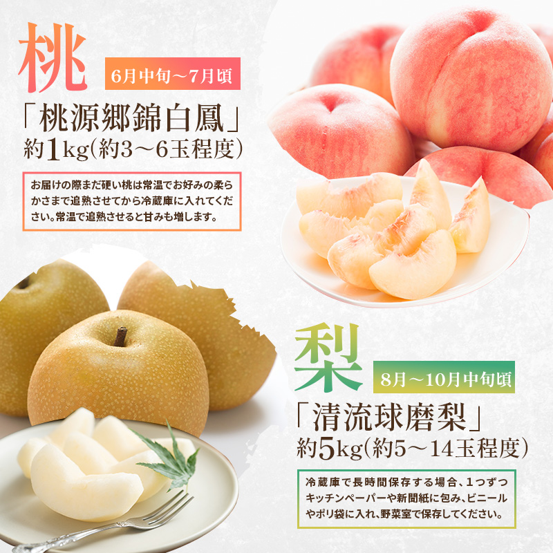 熊本県錦町のふるさと納税 定期便 2回 先行予約 【 桃 白桃 6～7月頃 梨 8～10月頃 】白鳳 特製桃源郷錦 約1kg、清流錦梨 約5kg もも モモ なし フルーツ 果物 デザート お楽しみ 2025年発送 配送不可:離島