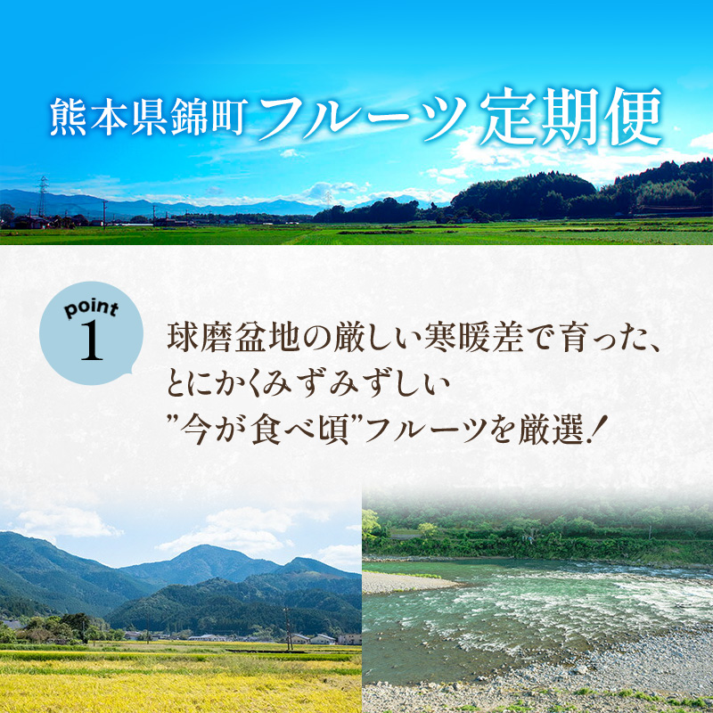熊本県錦町のふるさと納税 定期便 2回 先行予約 【 桃 白桃 6～7月頃 梨 8～10月頃 】白鳳 特製桃源郷錦 約1kg、清流錦梨 約5kg もも モモ なし フルーツ 果物 デザート お楽しみ 2025年発送 配送不可:離島