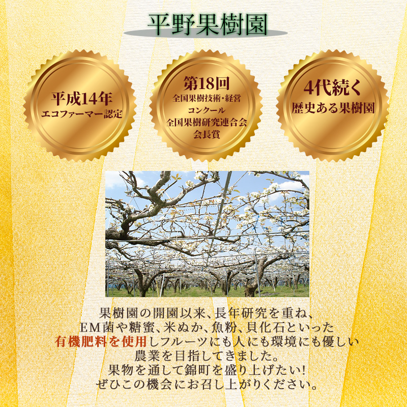 熊本県錦町のふるさと納税 定期便 2回 先行予約 【 桃 白桃 6～7月頃 梨 8～10月頃 】白鳳 特製桃源郷錦 約1kg、清流錦梨 約5kg もも モモ なし フルーツ 果物 デザート お楽しみ 2025年発送 配送不可:離島