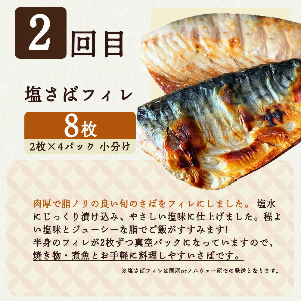 G60-T70_【定期便 全3回】魚鶴商店が選ぶ人気お魚E(銀鮭切身・サバフィレ・紅鮭切身)