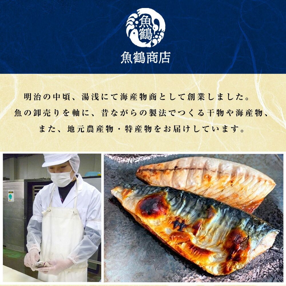 G60-T70_【定期便 全3回】魚鶴商店が選ぶ人気お魚E(銀鮭切身・サバフィレ・紅鮭切身)