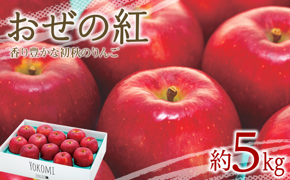 長野県産雪室熟成りんご　約20kg Amazon.co.jp: りんご 雪室りんご 5kg (13～20玉) 山形県産 青森
