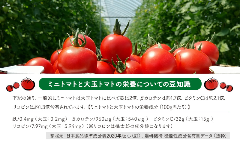 ミニトマトジュース(北海道 仁木町産 ミニトマト[エコスイート]100%) 1L×12本 無塩・無糖・保存料無添加【栽培期間中 農薬・化学肥料不使用 】野菜飲料 野菜 やさい トマト ジュース [Farm Watanabe]