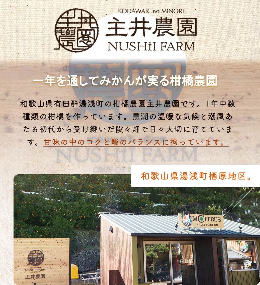 ZS6159_主井農園 高級 カラマンダリン 2kg サイズ混合