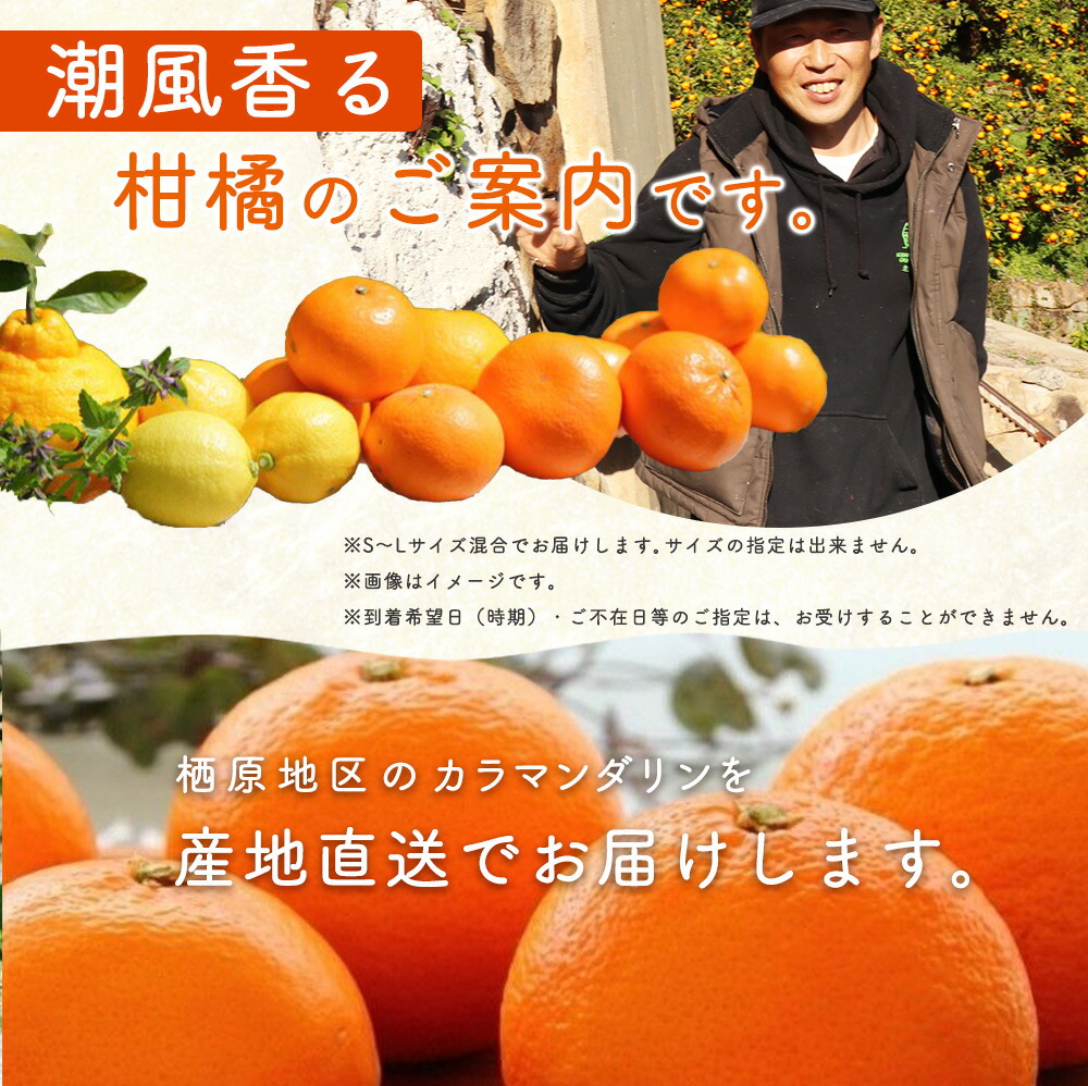 ZS6159_主井農園 高級 カラマンダリン 2kg サイズ混合