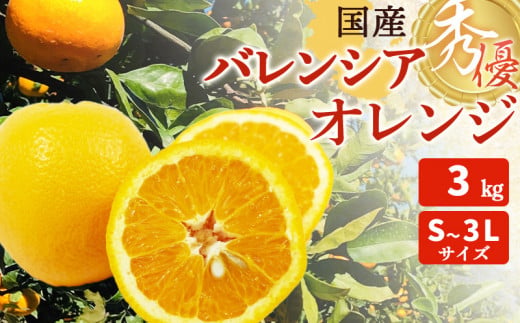 DA6108n_Y_【直営限定】北真農園 有田みかん 家庭用 3kg 濃厚完熟 お