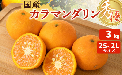 ya̎RLcS󒬁zZT6402_y2026Ns\zJ}_ GD 3kg 2S`2LTC