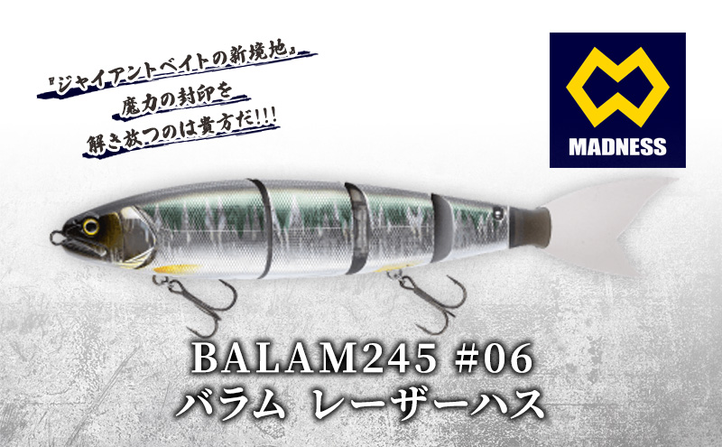 専用 マッドネス バラム 245 レーザーハス ビッグベイト 専用 マッドネス バラム 245 レーザーハス ビッグベイト - メルカリ