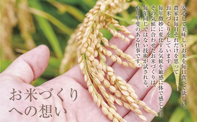 魚沼産 こしひかり 6kg ×3袋 計18kg 米 お米 新潟 魚沼 魚沼産 白米 送料無料 新潟県産 精米 産直 産地直送 契約農家 お取り寄せ 壱成 新潟県 