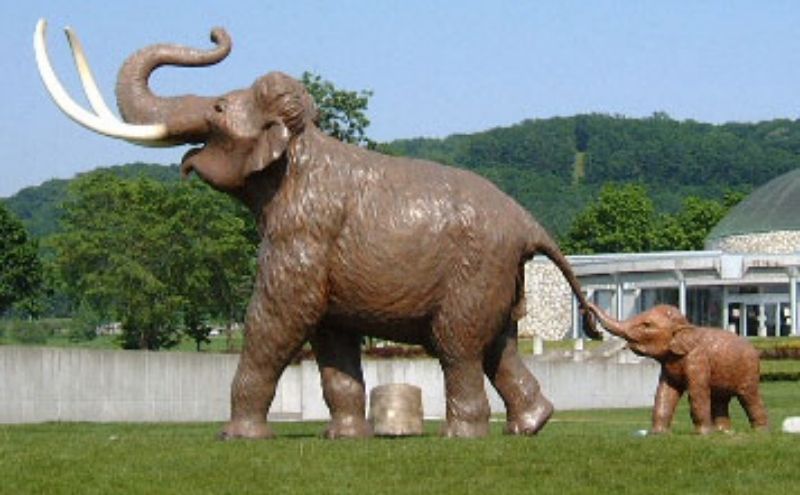 十勝ナウマン温泉ホテルアルコ 入浴券14枚 チケット 温泉利用券 