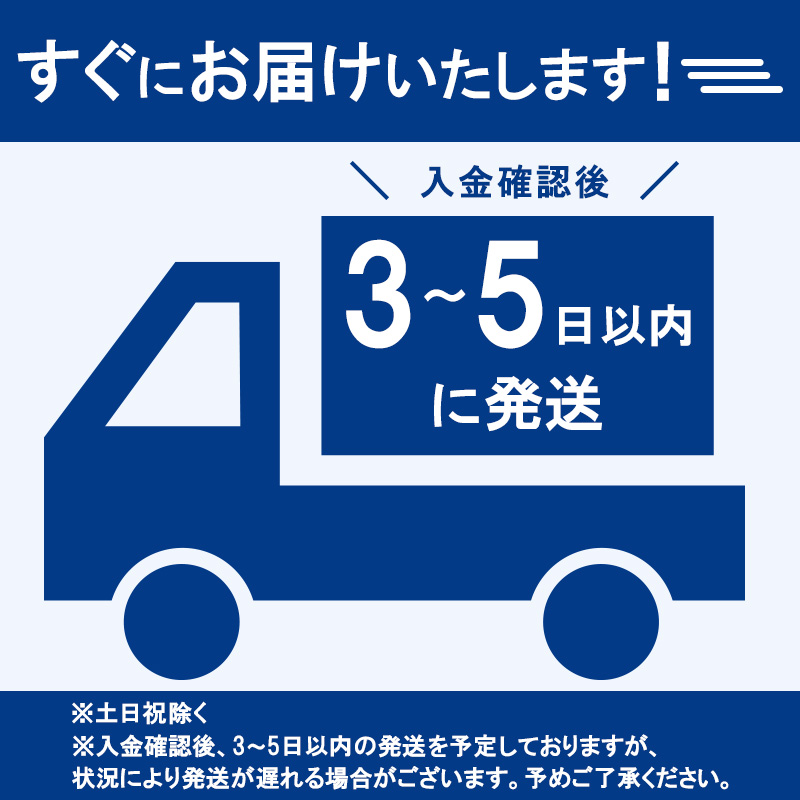 2025-26 志賀高原スキー場共通リフト券 2日券【スキー場 共通