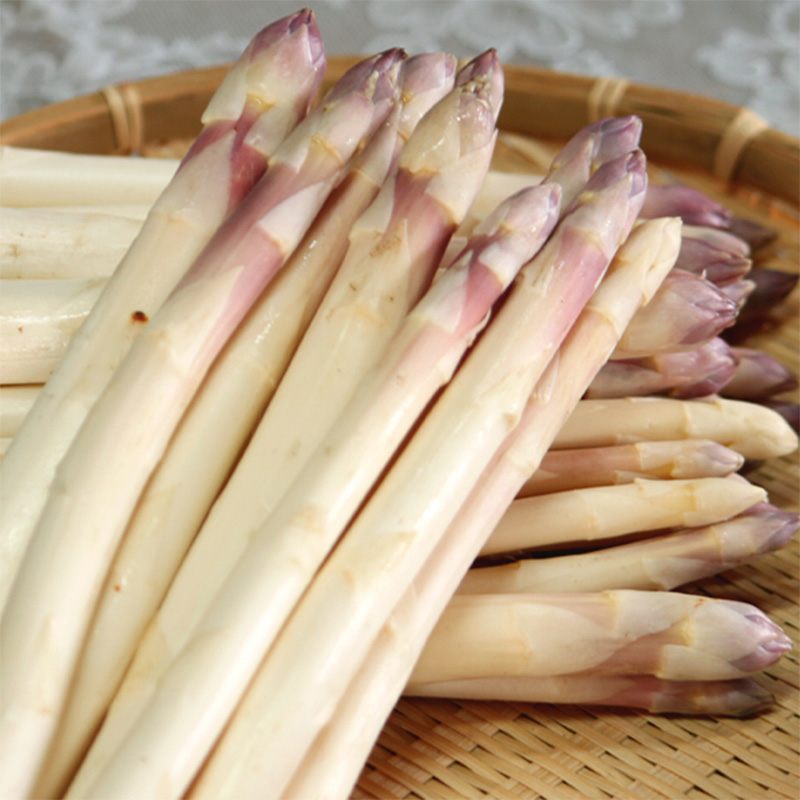 【2026年5月中旬～発送】訳あり ホワイト アスパラ SMサイズ混合 1kg セット北海道 富良野市 (スイートベジタブルファクトリー) 野菜 新鮮 直送 朝採り アスパラガス 道産 北海道 ふらの