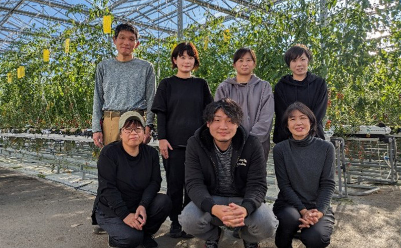 贅沢調味料セット ソース 洋食 料理 調理 食卓 ケチャップ 和風ソース 洋風ソース 